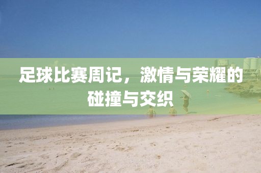 足球比赛周记，激情与荣耀的碰撞与交织