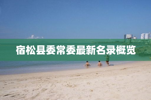 宿松县委常委最新名录概览
