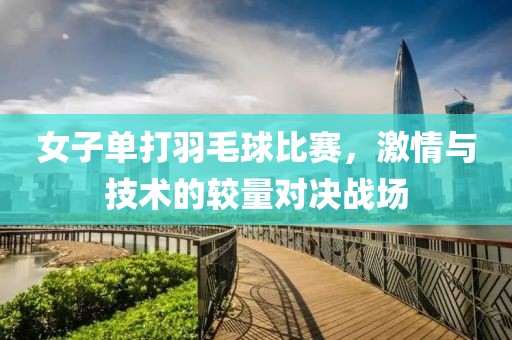 女子单打羽毛球比赛，激情与技术的较量对决战场