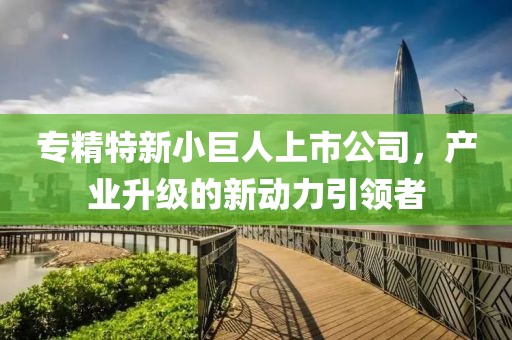 专精特新小巨人上市公司，产业升级的新动力引领者