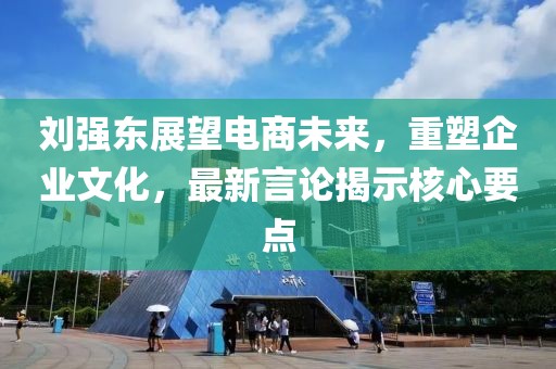 刘强东展望电商未来，重塑企业文化，最新言论揭示核心要点
