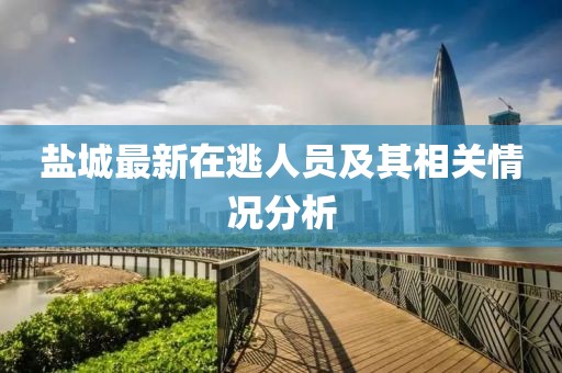 盐城最新在逃人员及其相关情况分析