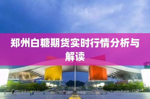 郑州白糖期货实时行情分析与解读