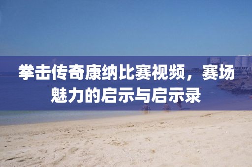 拳击传奇康纳比赛视频，赛场魅力的启示与启示录