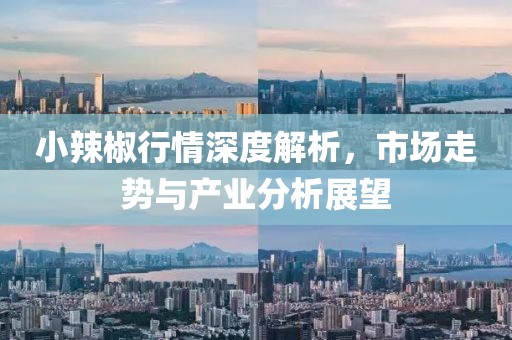 小辣椒行情深度解析，市场走势与产业分析展望