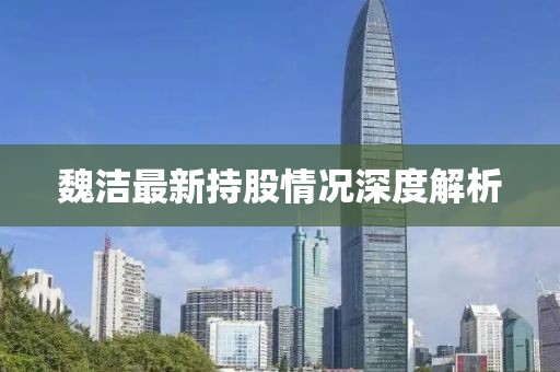 魏洁最新持股情况深度解析