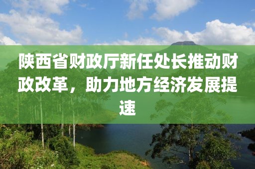 陕西省财政厅新任处长推动财政改革，助力地方经济发展提速
