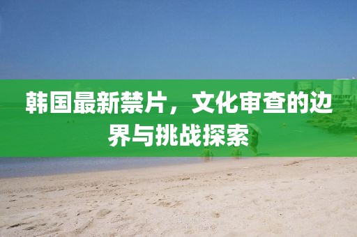 韩国最新禁片，文化审查的边界与挑战探索
