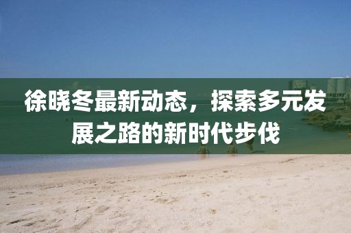 徐晓冬最新动态，探索多元发展之路的新时代步伐