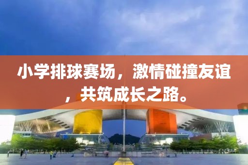 小学排球赛场，激情碰撞友谊，共筑成长之路。