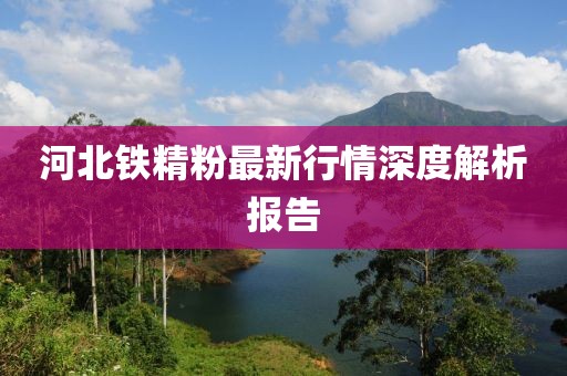 河北铁精粉最新行情深度解析报告