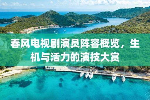 春风电视剧演员阵容概览，生机与活力的演技大赏
