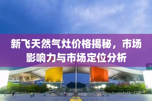 新飞天然气灶价格揭秘，市场影响力与市场定位分析