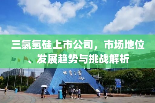 三氯氢硅上市公司，市场地位、发展趋势与挑战解析