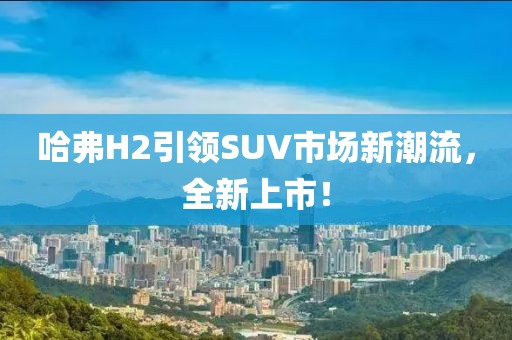 哈弗H2引领SUV市场新潮流，全新上市！