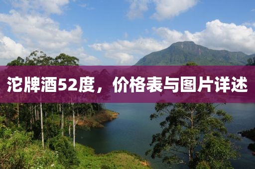 沱牌酒52度，价格表与图片详述