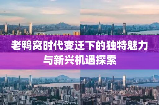 老鸭窝时代变迁下的独特魅力与新兴机遇探索