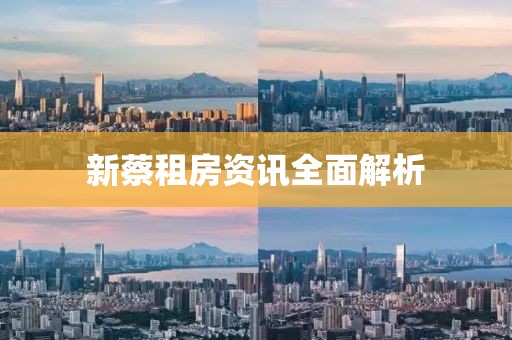 新蔡租房资讯全面解析