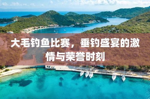 大毛钓鱼比赛，垂钓盛宴的激情与荣誉时刻