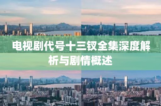 电视剧代号十三钗全集深度解析与剧情概述