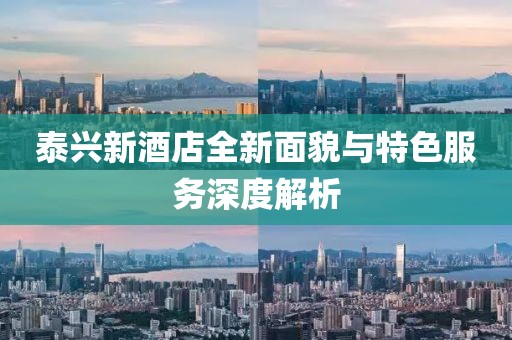 泰兴新酒店全新面貌与特色服务深度解析