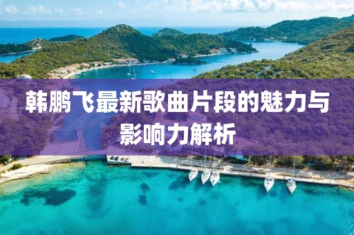 韩鹏飞最新歌曲片段的魅力与影响力解析