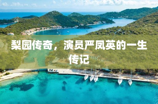 梨园传奇，演员严凤英的一生传记