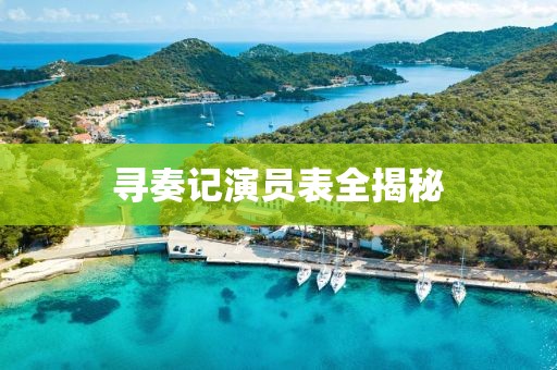 寻奏记演员表全揭秘