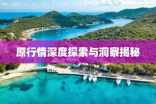 原行情深度探索与洞察揭秘