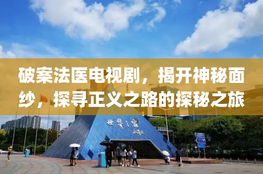 破案法医电视剧，揭开神秘面纱，探寻正义之路的探秘之旅
