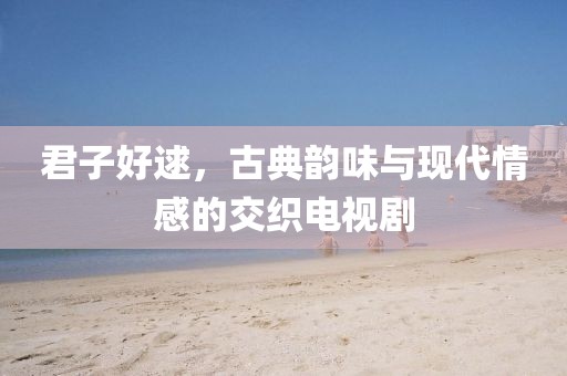 君子好逑，古典韵味与现代情感的交织电视剧