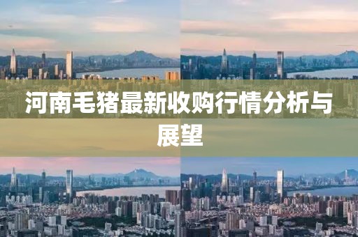 河南毛猪最新收购行情分析与展望