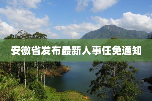 安徽省发布最新人事任免通知