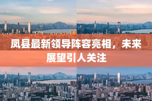 凤县最新领导阵容亮相，未来展望引人关注