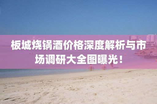 板城烧锅酒价格深度解析与市场调研大全图曝光！