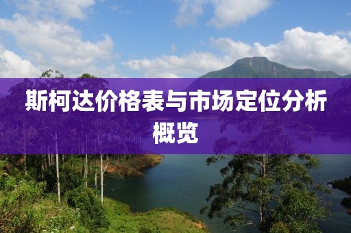 斯柯达价格表与市场定位分析概览