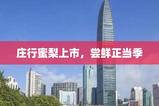 庄行蜜梨上市，尝鲜正当季