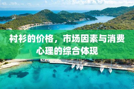 衬衫的价格，市场因素与消费心理的综合体现
