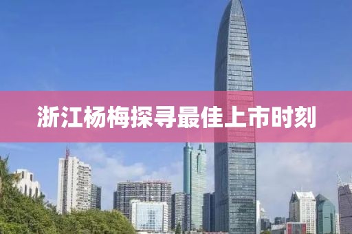 浙江杨梅探寻最佳上市时刻