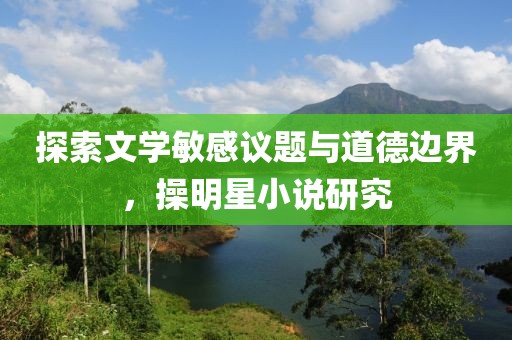 探索文学敏感议题与道德边界，操明星小说研究