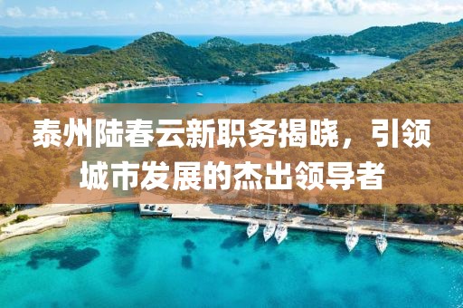 泰州陆春云新职务揭晓，引领城市发展的杰出领导者