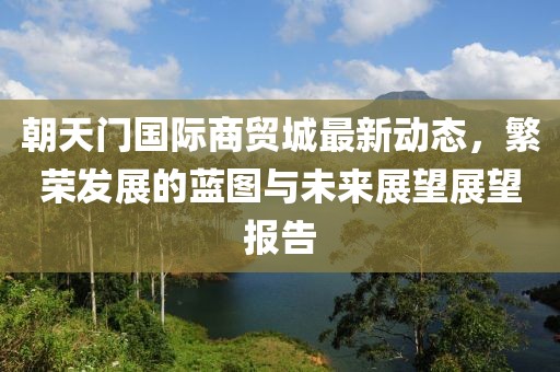 朝天门国际商贸城最新动态，繁荣发展的蓝图与未来展望展望报告