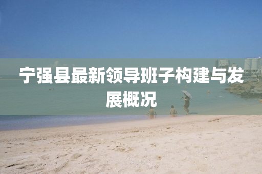 宁强县最新领导班子构建与发展概况
