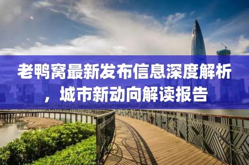 老鸭窝最新发布信息深度解析，城市新动向解读报告