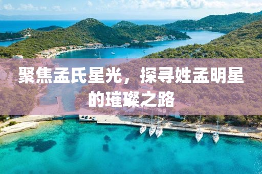 聚焦孟氏星光，探寻姓孟明星的璀璨之路