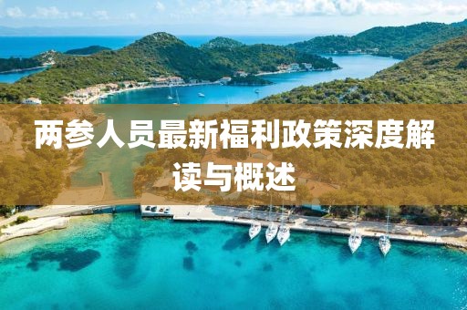 两参人员最新福利政策深度解读与概述