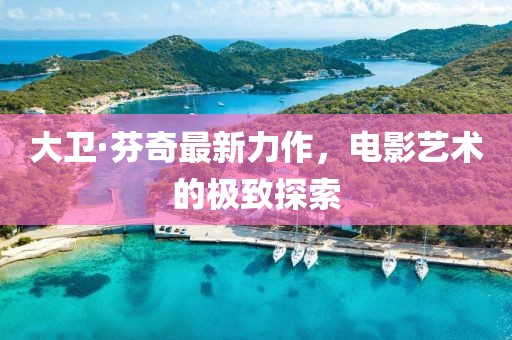 大卫·芬奇最新力作，电影艺术的极致探索