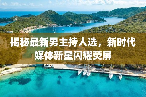 揭秘最新男主持人选，新时代媒体新星闪耀荧屏