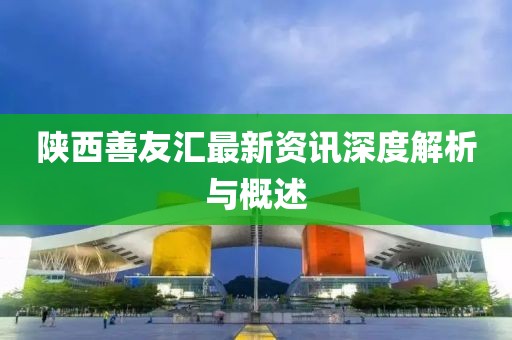 陕西善友汇最新资讯深度解析与概述