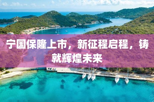 宁国保隆上市，新征程启程，铸就辉煌未来